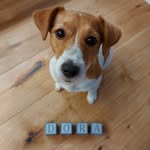 Dora - @dora_the_russell - Instagram