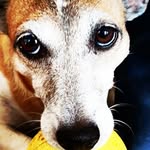dora_russell - @dora_russell7 - Instagram