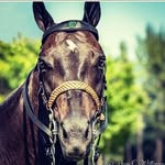 Young_doraye_ryders - @aja_magana_riders - Instagram