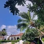 Dora Schmitt - @doraschmitt59.ds - Instagram