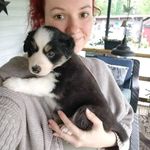 Dora Scott - @xepavoc459 - Instagram