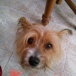 Dora Serrano - @doraserrano67 - Instagram