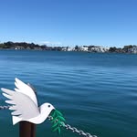 Dora Simpson - @dodorasimpson - Instagram