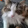 Dora Stead - @dora.stead - TikTok