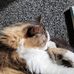 Dora Stead - Facebook