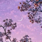 Dora Sun - Facebook