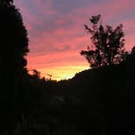 dorasun - @_dorasun - Instagram