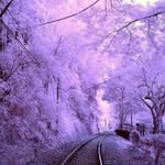 Dora Toth - @dora.toth.526 - Instagram