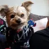 Dora Toth - @doratoth4 - TikTok