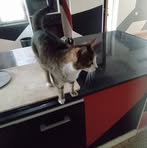 Dora Loulou Tyson - Facebook