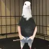 Dora Tyson - @dora.tyson - TikTok