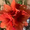 Dora💗🦋 - @doravilla231 - TikTok