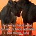 Dora Villa - Facebook