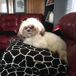 Dora Warren - @dora.warren - Instagram