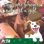 Dora White - @dorawhite230 - Instagram