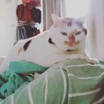 Dora Wu - Facebook