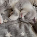 Dora Wu - Facebook