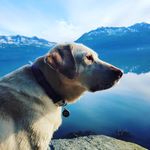 Doran Williams - @doranwilliams29 - Instagram