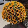 Dorcas Castro - @dorcas.castro - TikTok