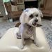 Dorcas Green - Facebook