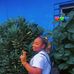 Dorcas Harris - Facebook