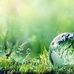 Dorcas Nelson 1 - Facebook