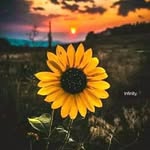 Dorcas Rodríguez - @dorcasrodriguez7 - Instagram