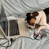 doreenadams567 - @doreenadams567 - TikTok