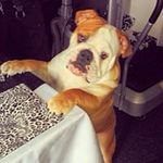 Doreen Adams - @adams_doreen - Instagram