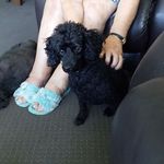 Doreen Adams - @doreen.adams.9862 - Instagram