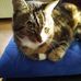 Doreen Anders - Facebook