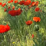 Doreen Anders - @doreenanders44 - Instagram