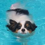 Doreen Anderson - @doreen.anderson.779 - Instagram