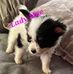 Doreen Anderson - Facebook