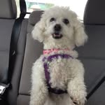Doreen Barber - @doreen.barber - Instagram