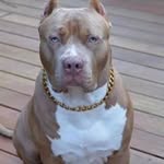 Doreen Battle - @doreen.battle.12 - Instagram