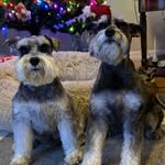 Mike-Doreen Beaver - @doreenbeaver5 - Instagram