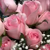 Doreen Bennett - @doreen.bennett - TikTok