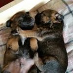 Doreen Bennett - @bennett.doreen - Instagram