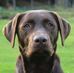 Doreen Bernier - Facebook