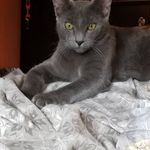 Doreen Paquin Bouchard - @dbangel72 - Instagram