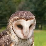 Doreen Broadbent - Facebook