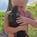 Doreen Bush - Facebook