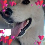 Doreen Cannon - @doreen.cannon.58 - Instagram