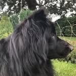 Doreen Chandler Gough - @doreenchandlergough - Instagram