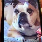 Doreen Cobb - Facebook