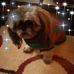 Doreen Cook - Facebook
