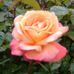 Doreen Cooper - Facebook