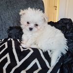 Doreen Cotton - @doreencotton71 - Instagram