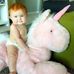 Doreen Cronin - Facebook